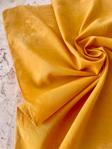 Hand-Dyed Silk Scarves - Sulfur Cosmos